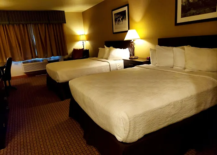 Hotel Western 3*