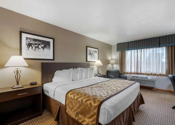 Hotel Western 3*